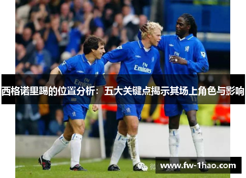 西格诺里踢的位置分析：五大关键点揭示其场上角色与影响