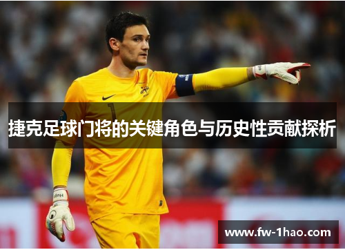 捷克足球门将的关键角色与历史性贡献探析