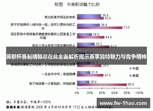 英联杯赛制精髓尽在此全面解析揭示赛事独特魅力与竞争精神 英联杯赛制精髓尽在此全面解析揭示赛事独特魅力与竞争精神