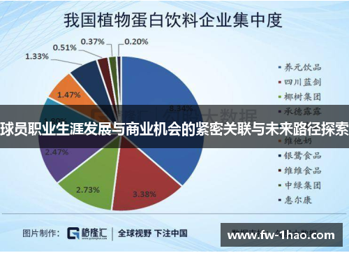 球员职业生涯发展与商业机会的紧密关联与未来路径探索