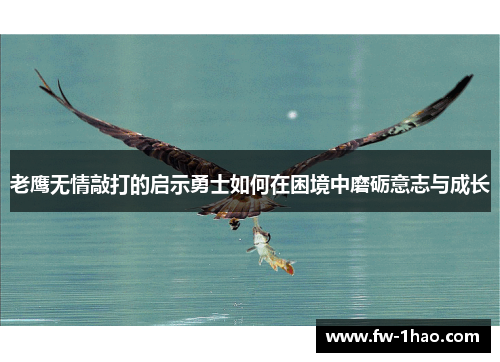 老鹰无情敲打的启示勇士如何在困境中磨砺意志与成长